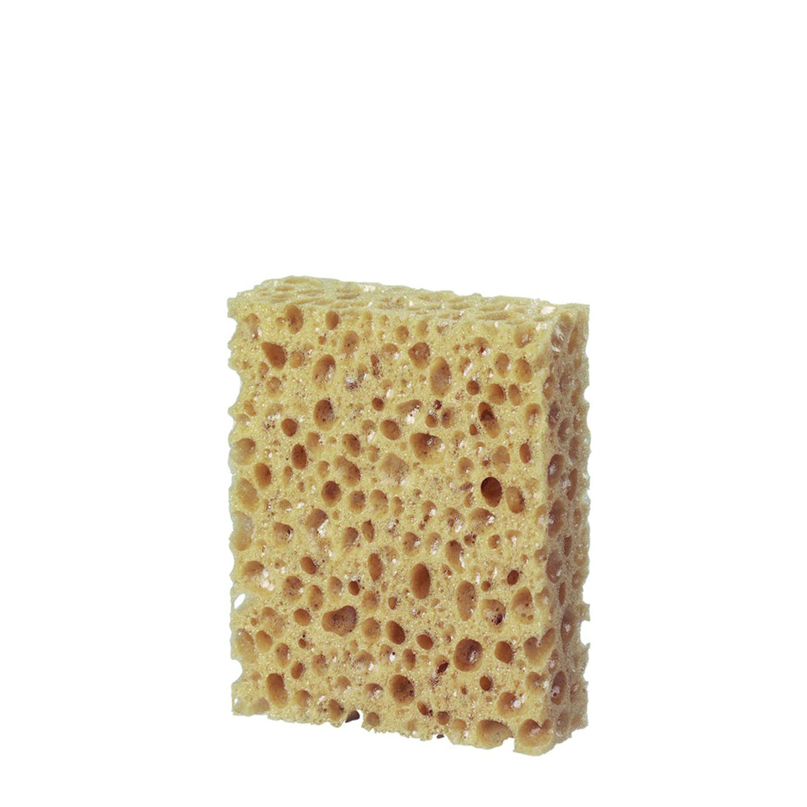 Natural Cleaning Sponge